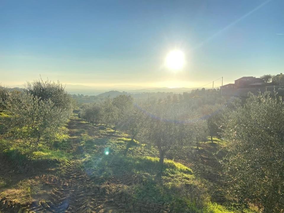 La Poderina Scansano Εξωτερικό φωτογραφία